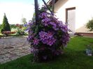 DSC00319