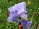 DSCN5103