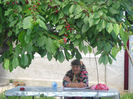 Picture 2974