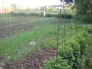 Picture 2966