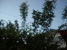 Picture 2958