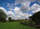 DSC00336