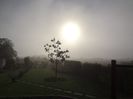 DSC00310