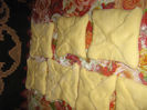 placintele 003