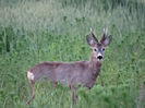 DSC00200