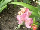 P1210468