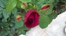 WP_20140516_009