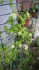 WP_20140516_011