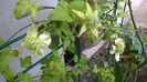 WP_20140516_013