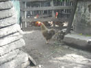DSCF0259