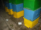 DSCF0283