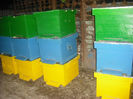 DSCF0284