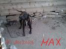 DE VANZARE   100 euro