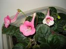 DSC08728