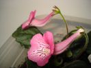 DSC08719