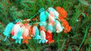 20140518_112936