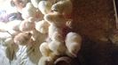 WP_20140515_004