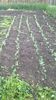 WP_20140517_001