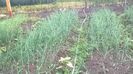 WP_20140517_002