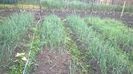 WP_20140517_003