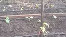 WP_20140517_005