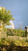 WP_20140516_003