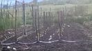 WP_20140517_007