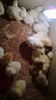 WP_20140517_010