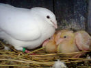 Photo0463