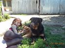 DSC01138