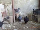 DSC01180