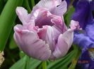 DSCN7432