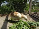 la tara 18.05.2014 170