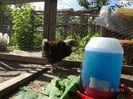 la tara 18.05.2014 192