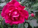 20140517_150206
