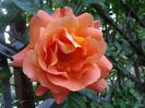 20140517_144503