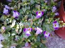 20140517_145137