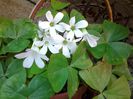 20140517_135726