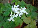 20140517_135719