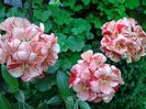 20140517_144548