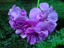 20140517_144522