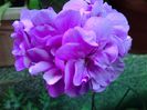 20140517_144527