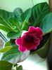 20140517_095208
