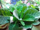 20140517_095222