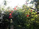 20140517_091633