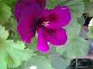 20140517_091535