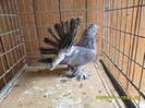 SAM_2357