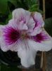 20140518_203751
