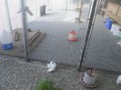 DSCN2270