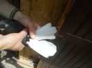 DSCN2348